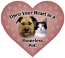 Open your heart to a homeless pet!